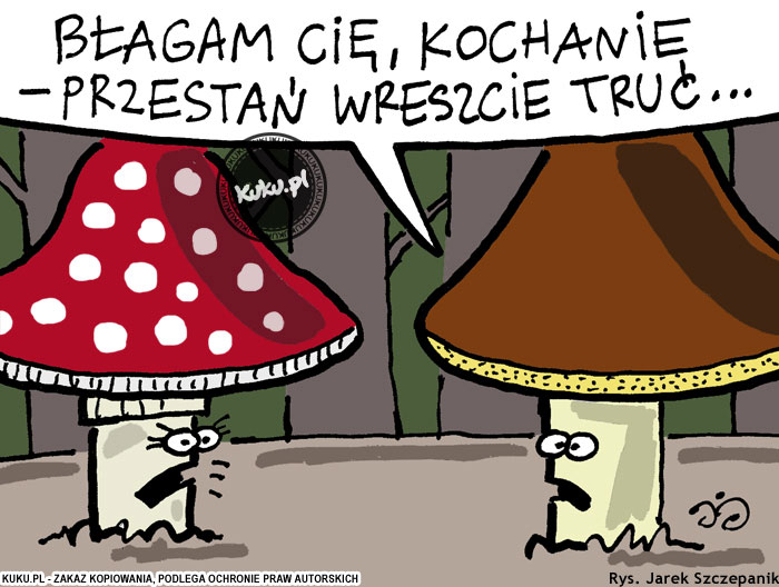 Komiks, dowcip, Żart o BÅ‚agam CiÄ™ kochanie