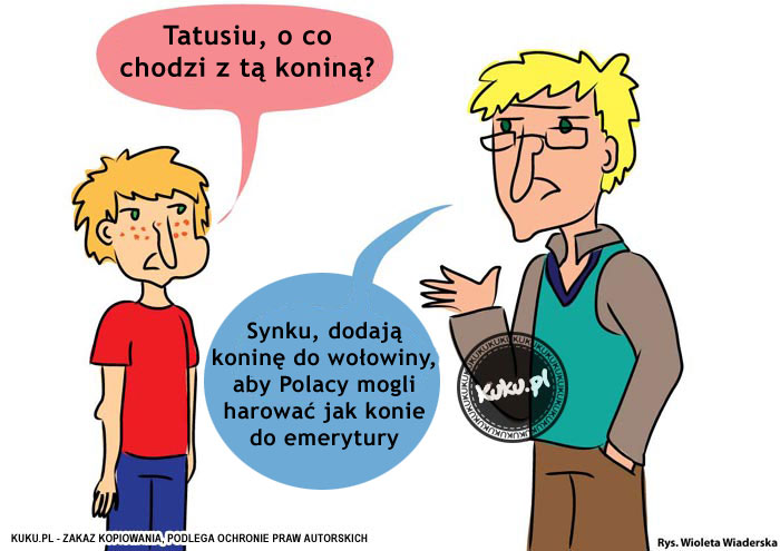 Komiks, dowcip, Żart o Konina w woÅ‚owinie