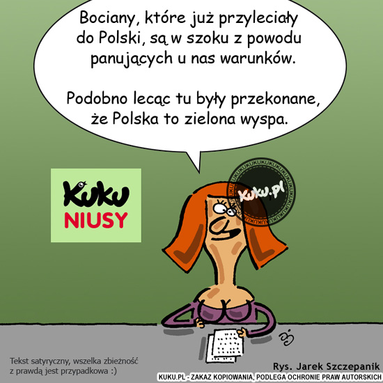 Komiks, dowcip, Żart o Kuku Niusy - przyleciaÅ‚y bociany