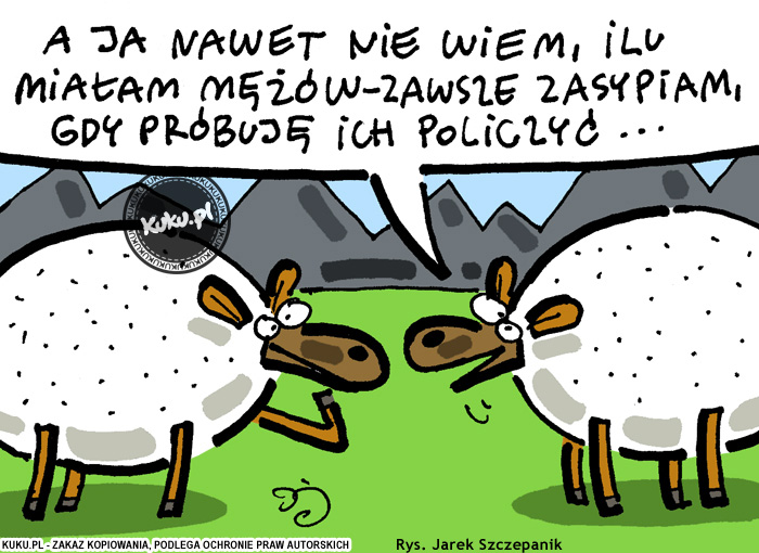 Komiks, dowcip, Żart o Liczenie baranÃ³w