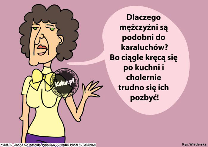 Komiks, dowcip, Żart o MÄ™Å¼czyÅºni i karaluchy