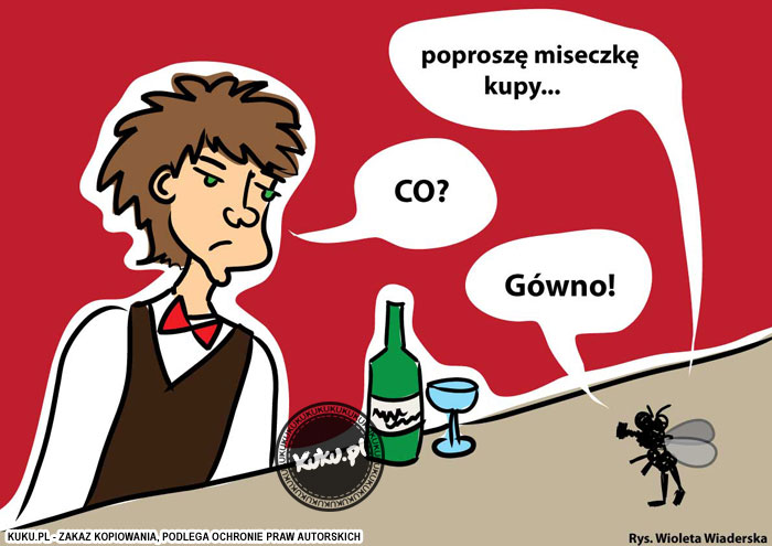 Komiks, dowcip, Żart o Mucha zamawia w restauracji