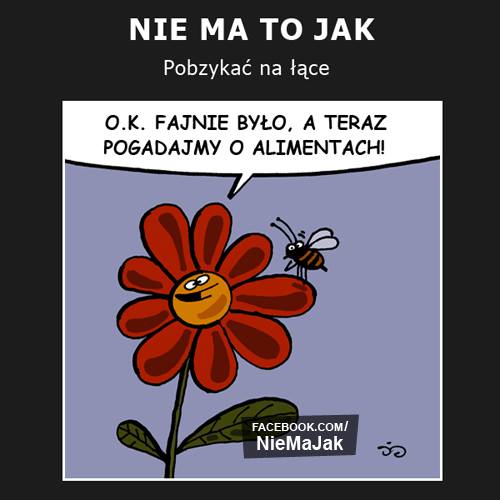 Komiks, dowcip, Żart o PobzykaÄ‡ na Å‚Ä…ce