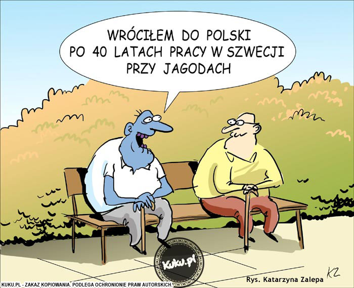 Komiks, dowcip, Żart o Praca w Szwecji