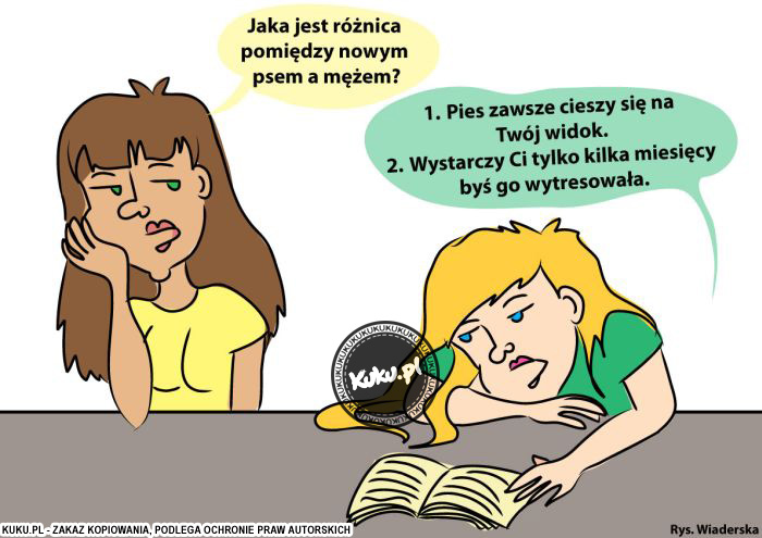 Komiks, dowcip, Żart o RÃ³Å¼nica miÄ™dzy psem, a mÄ™Å¼em