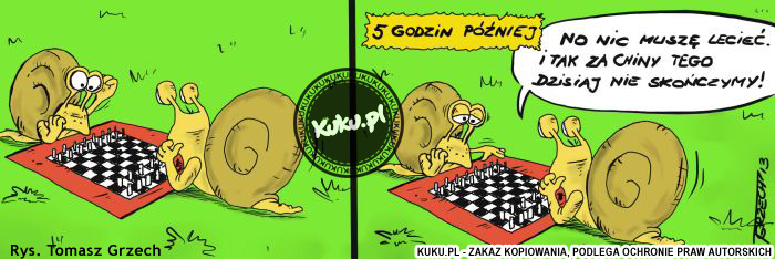 Komiks, dowcip, Żart o Åšlimacze szachy